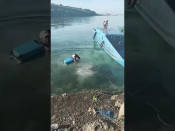 Funny short video featuring an unexpected moment that quickly turns chaotic