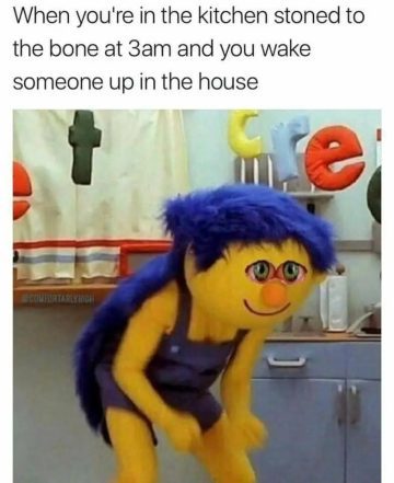 Muppet character sneaking in kitchen at 3AM, looking guilty
