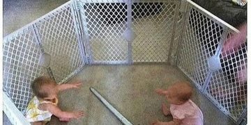 Two babies in a playpen with a sword; college tuition duel.