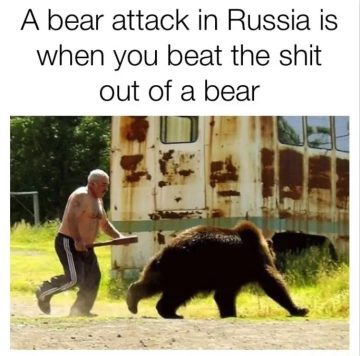 Man confidently chases a bear with a stick in front of a trailer.