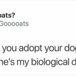 Hilarious meme about a biological dog comeback