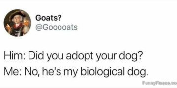 Hilarious meme about a biological dog comeback