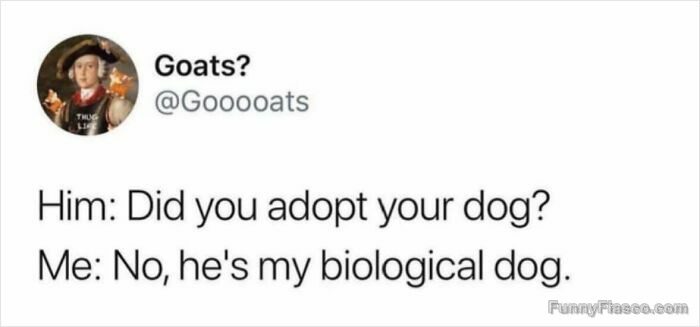 Hilarious meme about a biological dog comeback