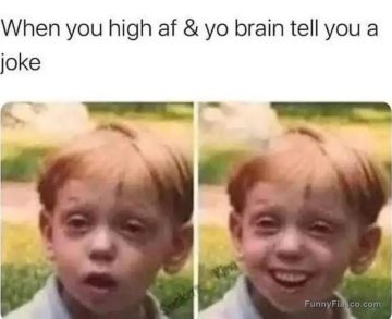 Funny meme of a boy looking high, then laughing at a joke.