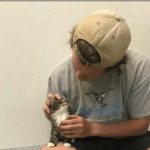 Person cuddling with a kitten provides comforting vibes.