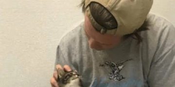 Person cuddling with a kitten provides comforting vibes.