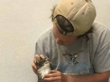 Person cuddling with a kitten provides comforting vibes.