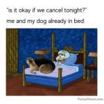 Meme of Squidward and dog in bed reacting to canceled plans.