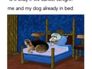 Meme of Squidward and dog in bed reacting to canceled plans.