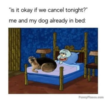 Meme of Squidward and dog in bed reacting to canceled plans.
