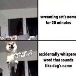 Dog jumps excitedly as owner accidentally calls its name.