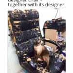 Cat sitting on a torn office chair with a funny caption.