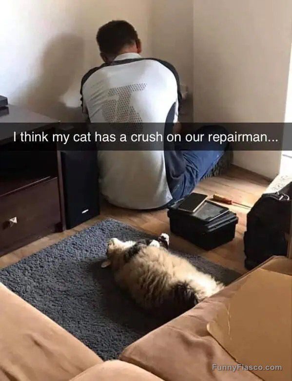 Cat lying on floor watching repairman fix something in room.