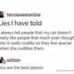 A meme about telling friends your cuddly cat is shy to make them feel special.