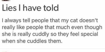 A meme about telling friends your cuddly cat is shy to make them feel special.