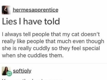 A meme about telling friends your cuddly cat is shy to make them feel special.