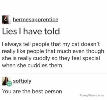 A meme about telling friends your cuddly cat is shy to make them feel special.