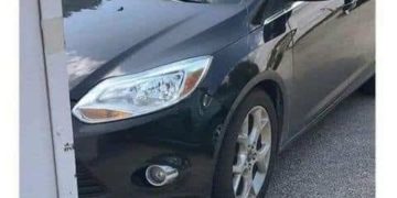 Cat lying under car wheel as if staging an accident for insurance.