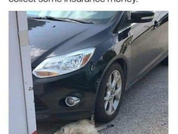 Cat lying under car wheel as if staging an accident for insurance.