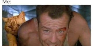 Cat and human crawling to rescue toy from under couch.