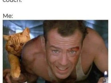 Cat and human crawling to rescue toy from under couch.