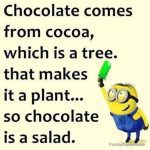 Funny meme explaining chocolate as a salad with a minion.