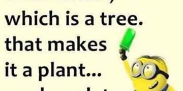 Funny meme explaining chocolate as a salad with a minion.