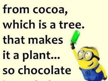 Funny meme explaining chocolate as a salad with a minion.
