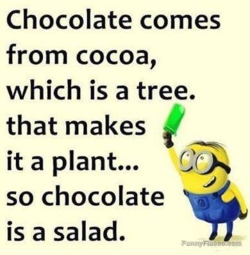 Funny meme explaining chocolate as a salad with a minion.