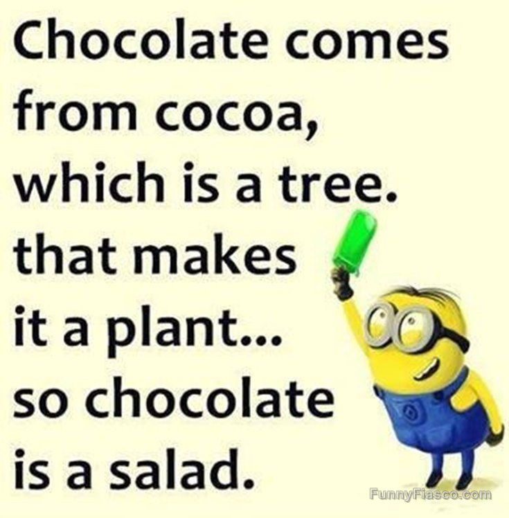 Funny meme explaining chocolate as a salad with a minion.