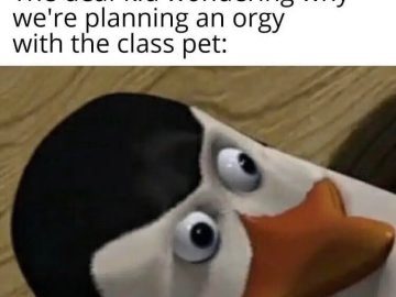 Penguin looking shocked at a classroom misunderstanding about hand signs.