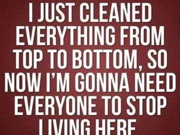 Humorous text about cleaning and wanting to live alone after cleaning.