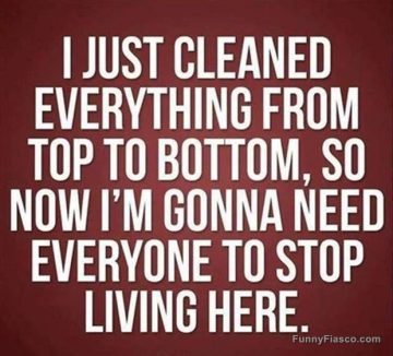 Humorous text about cleaning and wanting to live alone after cleaning.