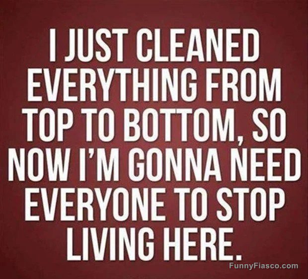 Humorous text about cleaning and wanting to live alone after cleaning.