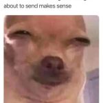 Close-up of a dog's face with squinted eyes, captioned about texting while baked.