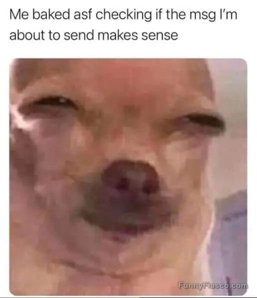 Close-up of a dog's face with squinted eyes, captioned about texting while baked.