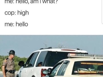 Police officer asks driver if they're high; funny misunderstanding meme.
