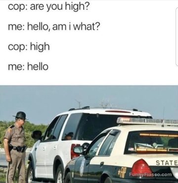 Police officer asks driver if they're high; funny misunderstanding meme.