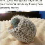 Snuggled bird wrapped in cozy blanket with comforting text.