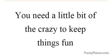 Quote saying you need a bit of crazy to keep things fun.