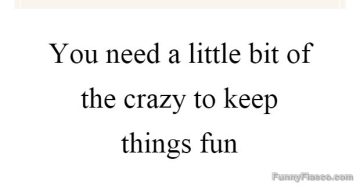 Quote saying you need a bit of crazy to keep things fun.