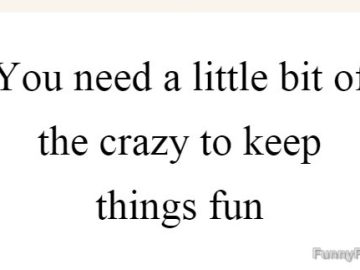 Quote saying you need a bit of crazy to keep things fun.