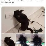 Black cat investigates power outlet and gets a shocking surprise.