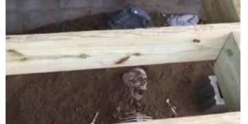 Dollar store skeleton buried under a deck for a prank.