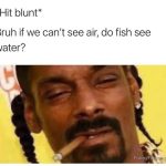 Meme of a man questioning if fish can see water while smoking.