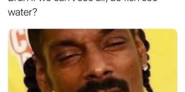 Meme of a man questioning if fish can see water while smoking.