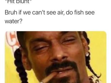 Meme of a man questioning if fish can see water while smoking.