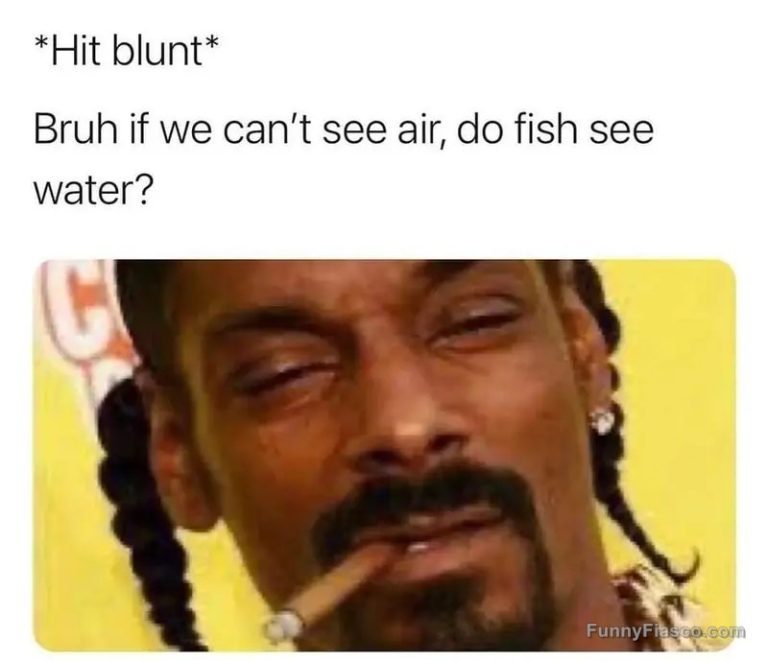 Meme of a man questioning if fish can see water while smoking.