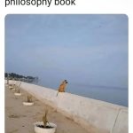 Dog sitting by the sea after eating philosophy book