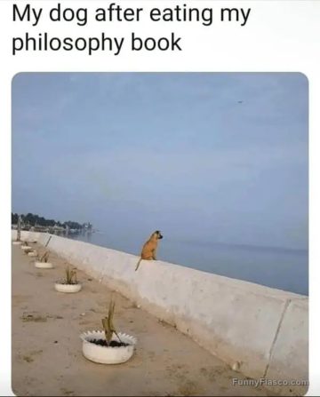 Dog sitting by the sea after eating philosophy book